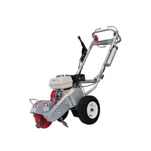 Small Stump Grinder Rental