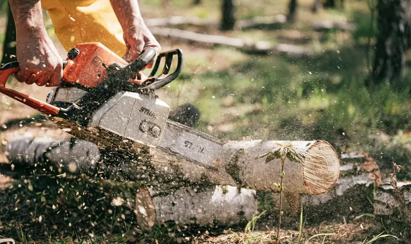California DIY tree removal equipment rentals