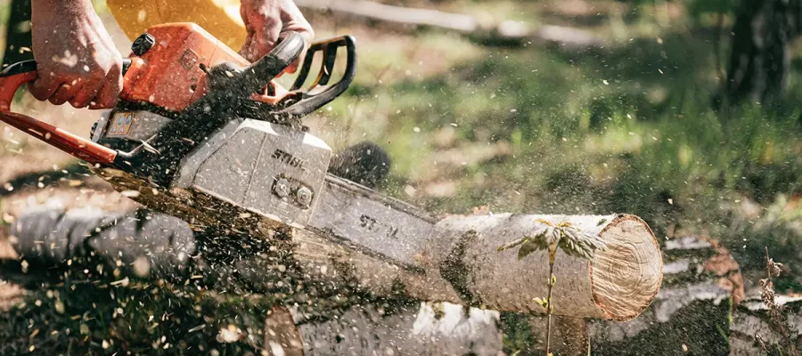 California DIY tree removal equipment rentals