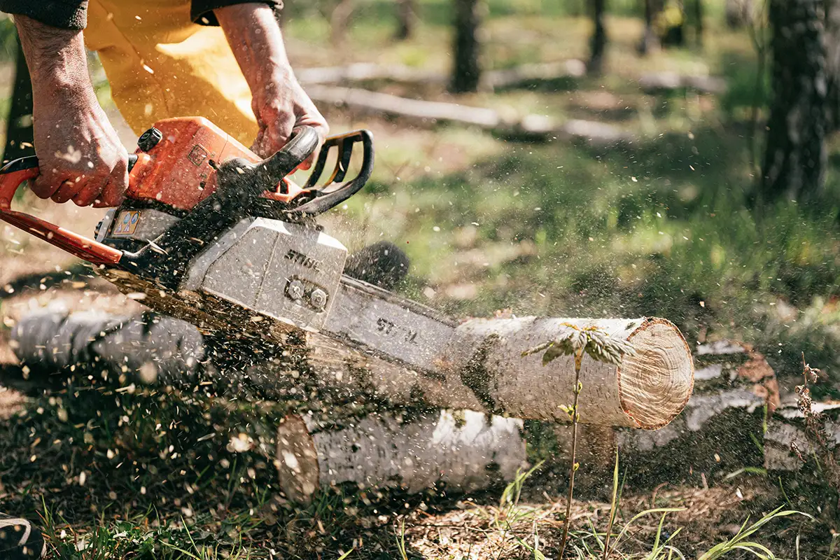 California DIY tree removal equipment rentals
