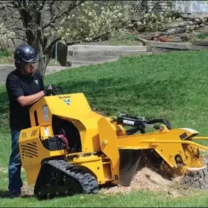 Stump Grinder Rental